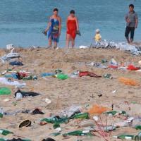 России может появиться ведомство, курирующее пляжи